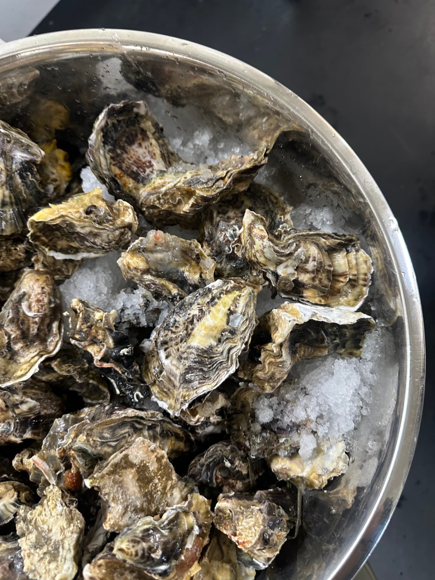 Bowl of unopened New Zealand oysters ready for shucking